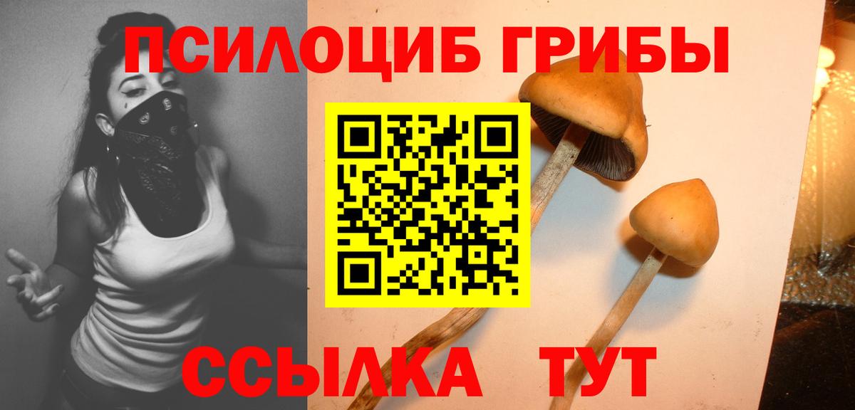 Галлюциногенные грибы ЛСД  Вход с VPN  Галлюциногенные грибы ЛСД  Клинцы 