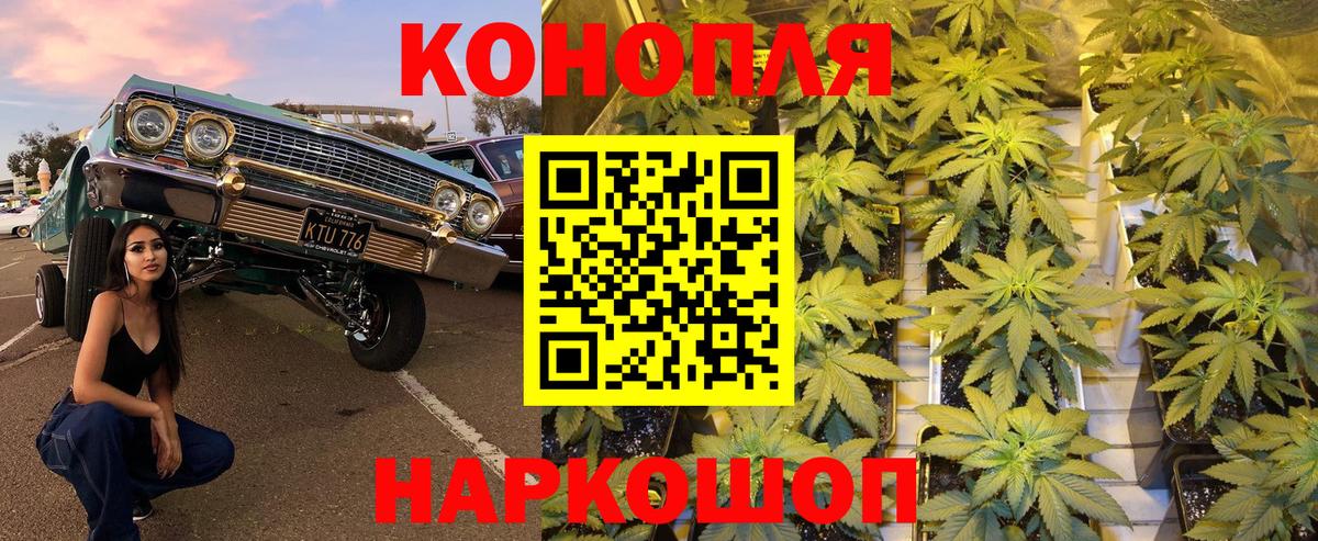 Каннабис Amnesia Клинцы